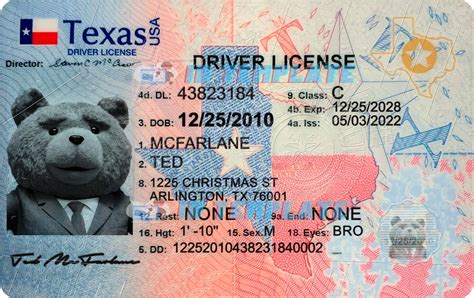 Texas Drivers License Sample