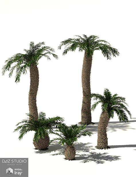 RPC Volume 6: Mesozoic Plants and Trees for Daz Studio and Vue | Daz 3D