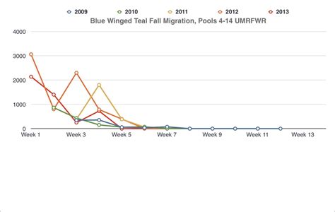 Migration - Blue Winged Teal