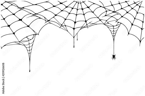 Scary spider web background. Cobweb background with spider. Spooky ...