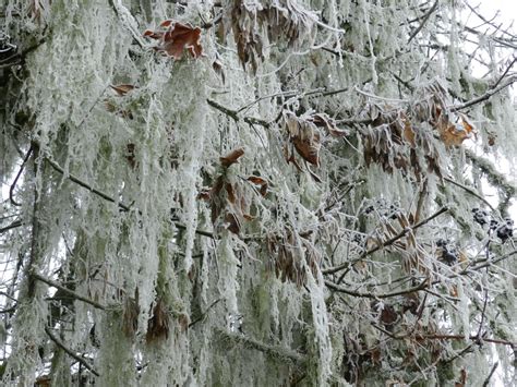 Winter Farm Images - Farmland LP