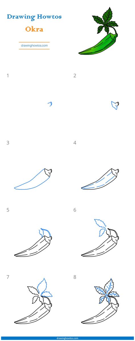 How to Draw Okra - Step by Step Easy Drawing Guides - Drawing Howtos