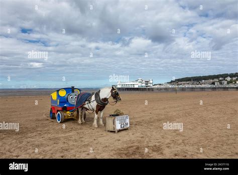 Thomas Tank Engine donkey carriage rides on Weston Super Mare beach with the The Grand Pier in ...