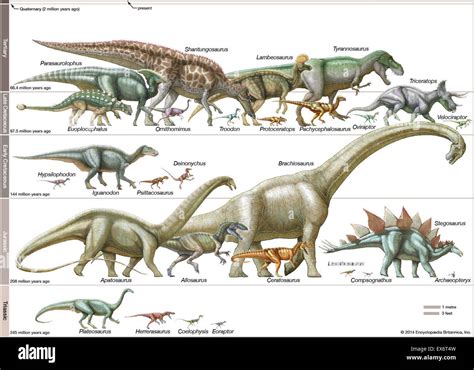 Dinosaurs Size Comparison Of Dinosaurs Size (scale Diagram… Flickr | vlr.eng.br