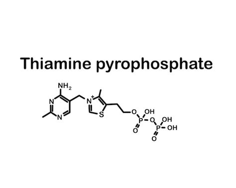 Premium Vector | Chemical formula of thiamine pyrophosphate