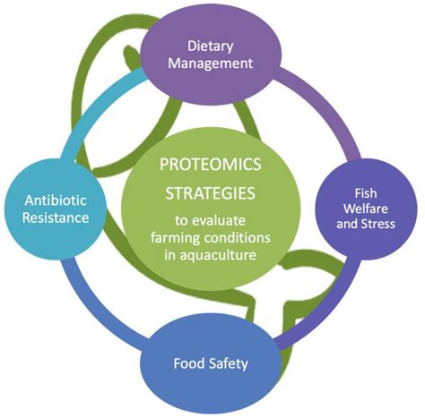 Foods | Free Full-Text | Proteomic Strategies to Evaluate the Impact of ...