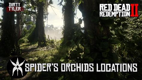 All Spider Orchid Locations Red Dead Redemption 2 RDR2 - YouTube