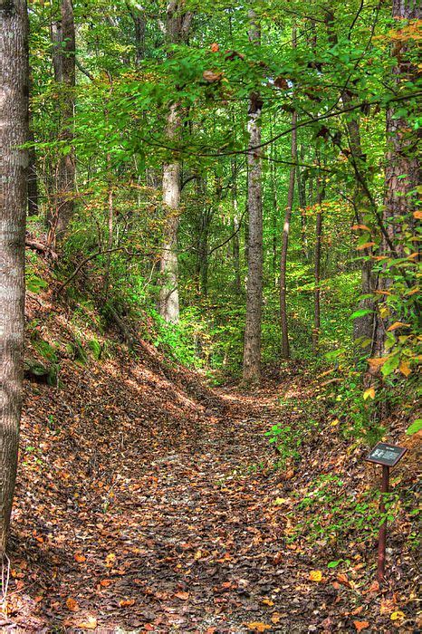 Hiking Trail on the Old Trace along the Natchez Trace Parkway. # ...