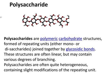 PPT - Polysaccharide PowerPoint Presentation, free download - ID:2090603