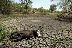 Extreme Weather Watch: October 2014 – Drought in Australia and Brazil