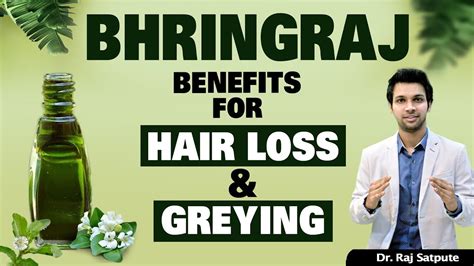 Bhringraj for Long & Thick Hair | How to Stop Hair Loss & Grey Hair ...