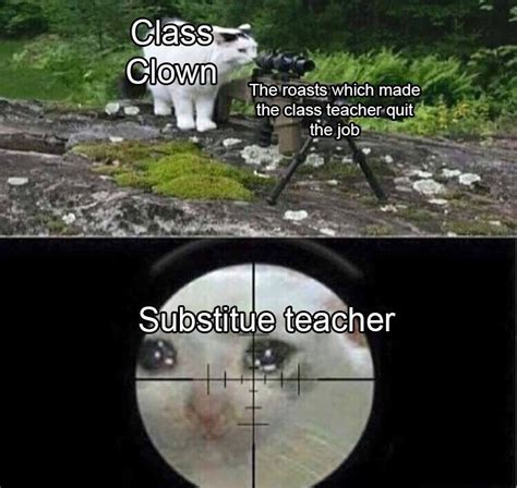 substitute teacher | Cat Sniping Crying Cat | Know Your Meme