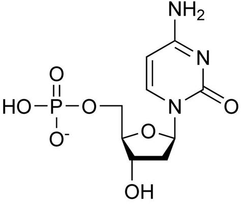 Deoxycytidine - Alchetron, The Free Social Encyclopedia