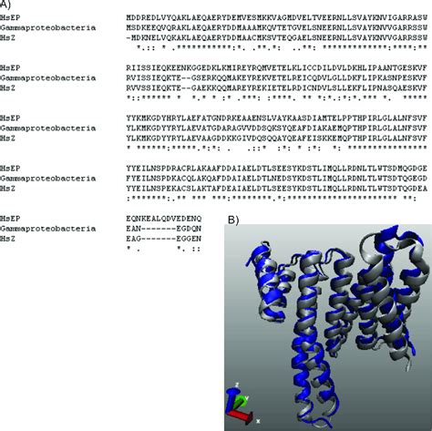 Sequence and structure of newly identified Gammaproteobacterial 14-3-3 ...