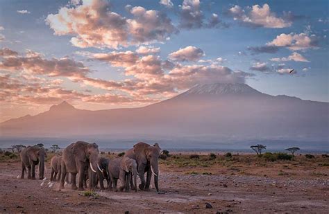 The Kilimanjaro Climb: What to Know and How to Prepare