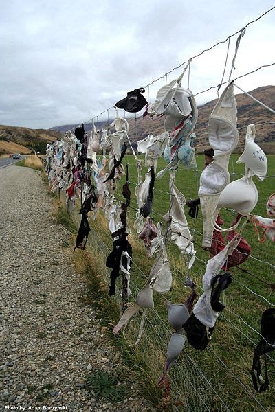 The Cardrona Bra Fence of New Zealand | Amusing Planet