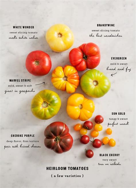 All About Heirloom Tomatoes - Love and Lemons | Heirloom tomatoes ...