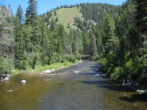 Rock Creek in Montana | Detailed Fly Fishing & Floating Guide