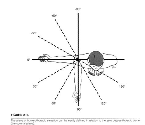 Shoulder Arthritis / Rotator Cuff Tears: causes of shoulder pain ...