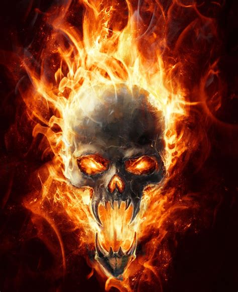 Skull Flames door wrap Flaming Skull with black background Contact Rm ...