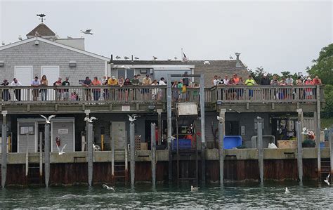 Reconstruction Planned For Chatham Fish Pier Observation Deck - CapeCod.com