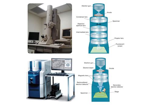 Electron Microscope - Types, Principle, Working Mechanism, Applications, Instrumentation