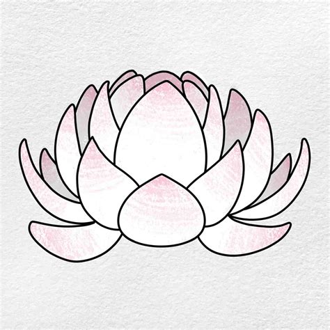 Lotus Flower Pictures Drawings | Best Flower Site