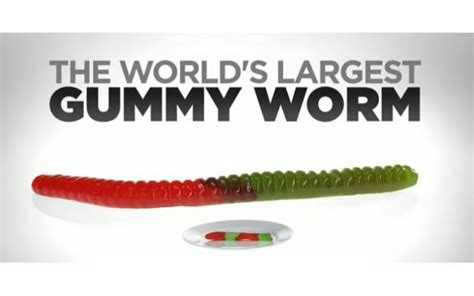 World Largest Gummy Worm - 101qs