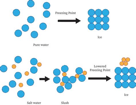 Freezing Point of Water | bartleby