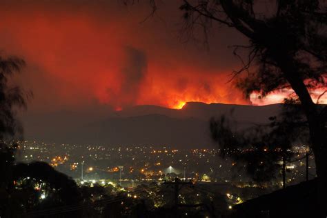 As Australia faces new fire reality, forest restoration tactics reevaluated