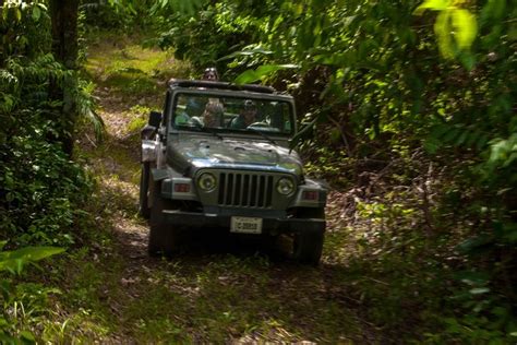 Jungle Jeep Adventure From Belize City: Triphobo