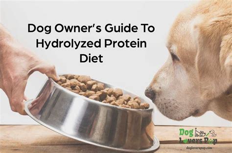 Ultimate Guide To Hydrolyzed Protein Diet For Dog Owners