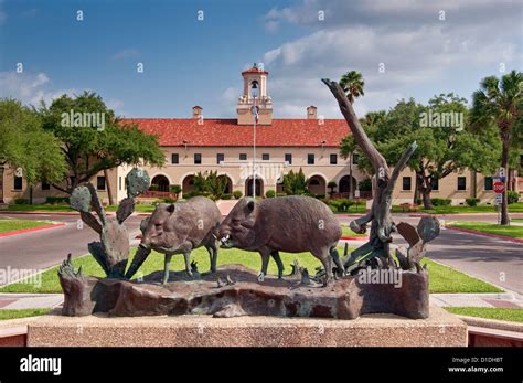 College Hall, Javelinas sculpture, Texas A&M University campus in ...