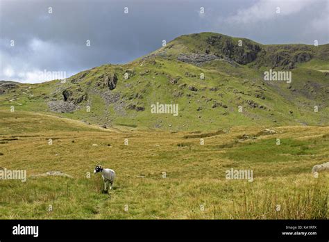 Old Man Coniston, Lake District Stock Photo - Alamy