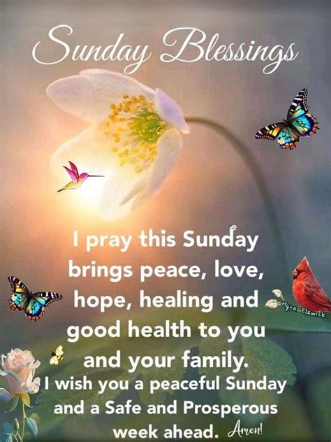 I Pray This Sunday Brings Peace, Love, Hope, Healing And Good Health To You And Your… | Happy ...