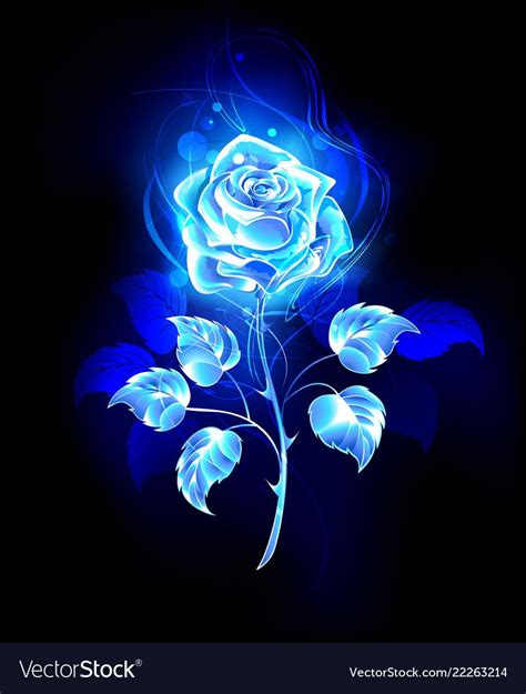 Pin on blue roses