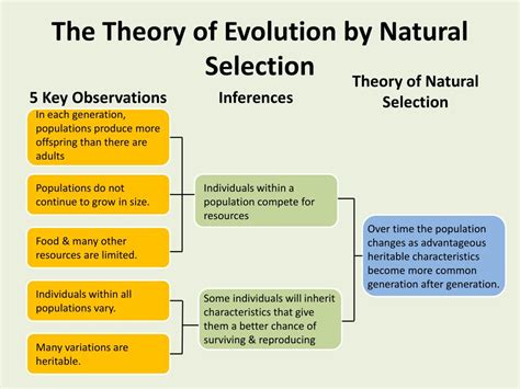 PPT - The Theory of Evolution by Natural Selection PowerPoint ...