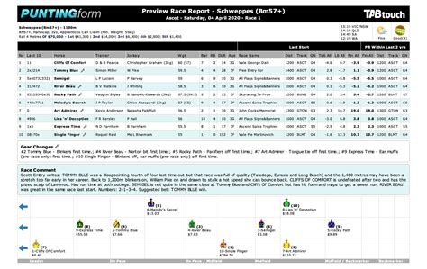 Punting Form reports