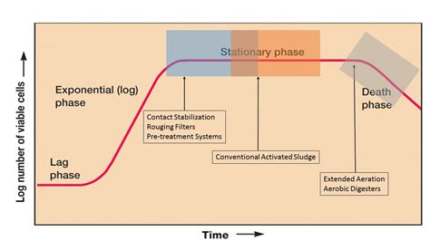 Using the Microbial Growth Curve in wastewater operations - BIOLOGICAL WASTE TREATMENT EXPERT