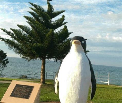 THE 15 BEST Things to Do in Penguin - 2024 (with Photos) - Tripadvisor