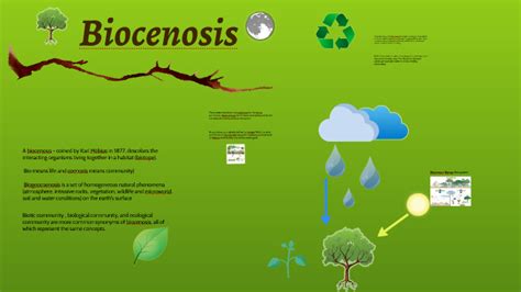 Biocenosis by Nurgiza Tazhibaeva on Prezi