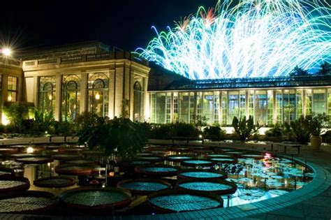 Longwood fireworks | Longwood Gardens | Pinterest