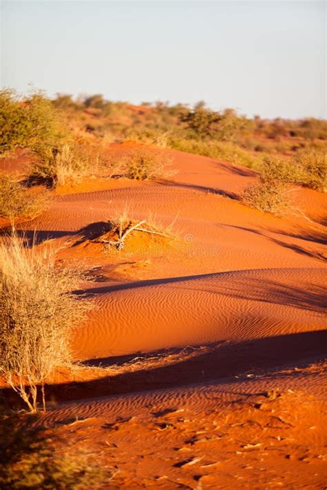 Sahara desert landscape stock photo. Image of orange - 159880974