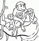 Get This Monkey Coloring Pages Printable 39041 sketch template