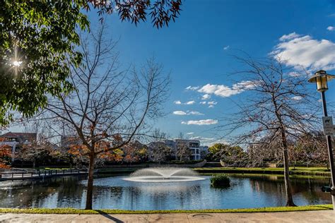 New light shines on Subiaco Common | City of Subiaco