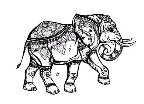 Elegant elephant - Elephants Adult Coloring Pages