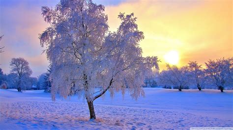 Bing Snow Sunset Wallpapers - Wallpaper - #1 Source for free Awesome ...