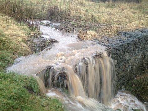 Surface runoff into Bateswood Lake © Jonathan Hutchins :: Geograph ...