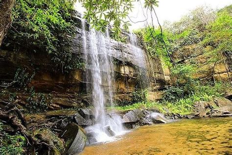 Shimba Hills National Reserve | Kenya Safaris Tours | Kenya Tours