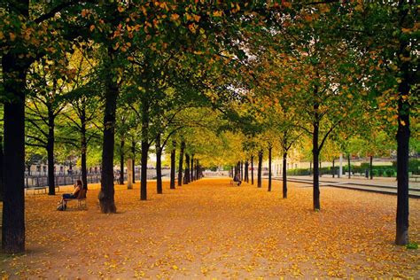 City Park Autumn Free Stock Photo - NegativeSpace